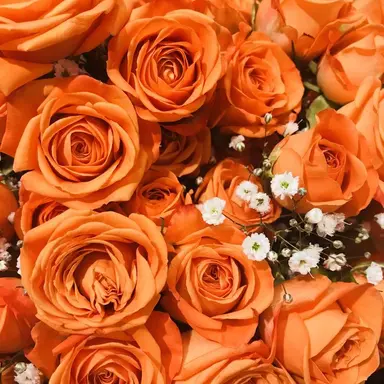 Profile image of 박덕개