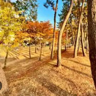 Profile image of 준브레드