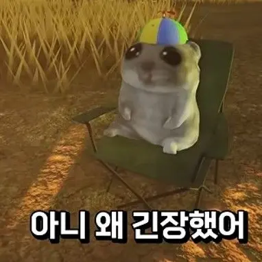 Profile image of 햄토리