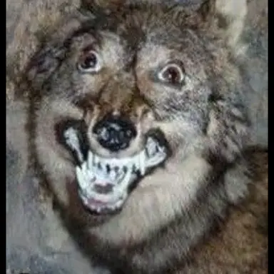 Profile image of 늑대