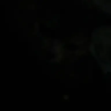 Profile image of 文哉
