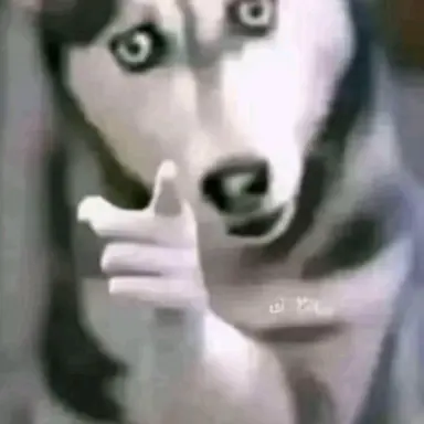 Profile image of 김허리