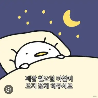 Profile image of 선생님