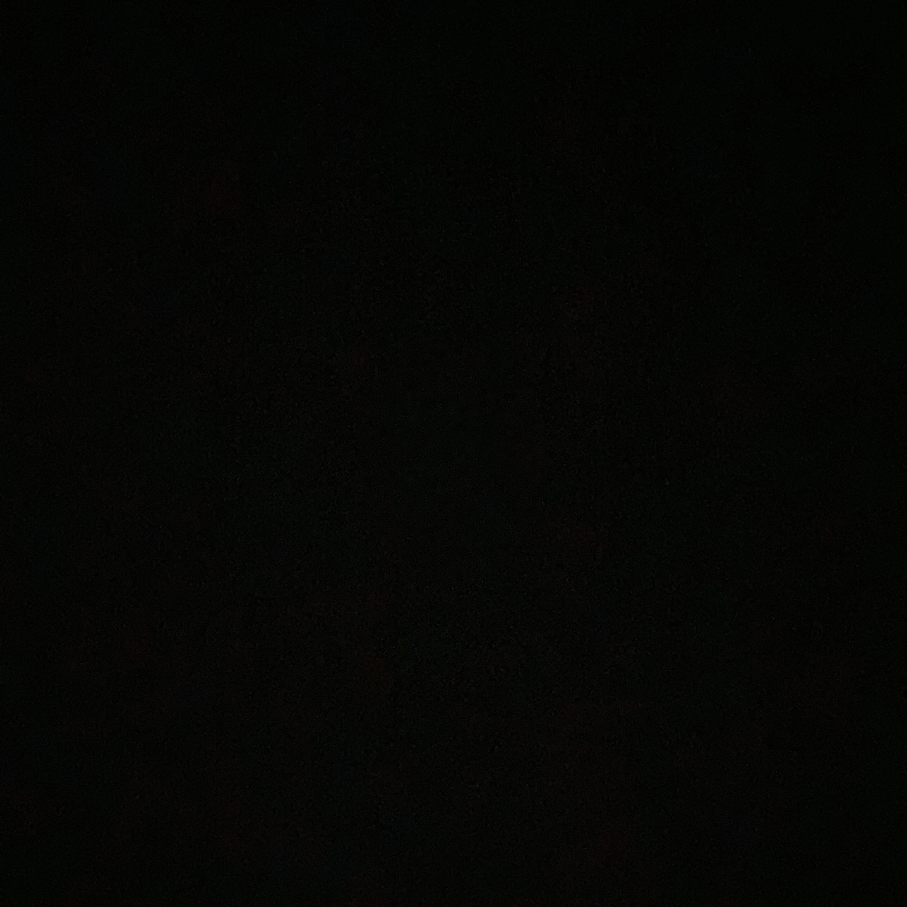 게스트1337 -개인용-