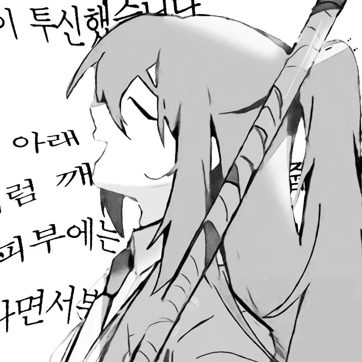 ssamji1의 胡蝶之夢