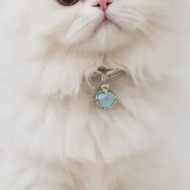 Profile image of Luca