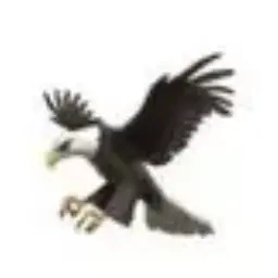 Profile image of 古家 蘭