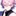 公