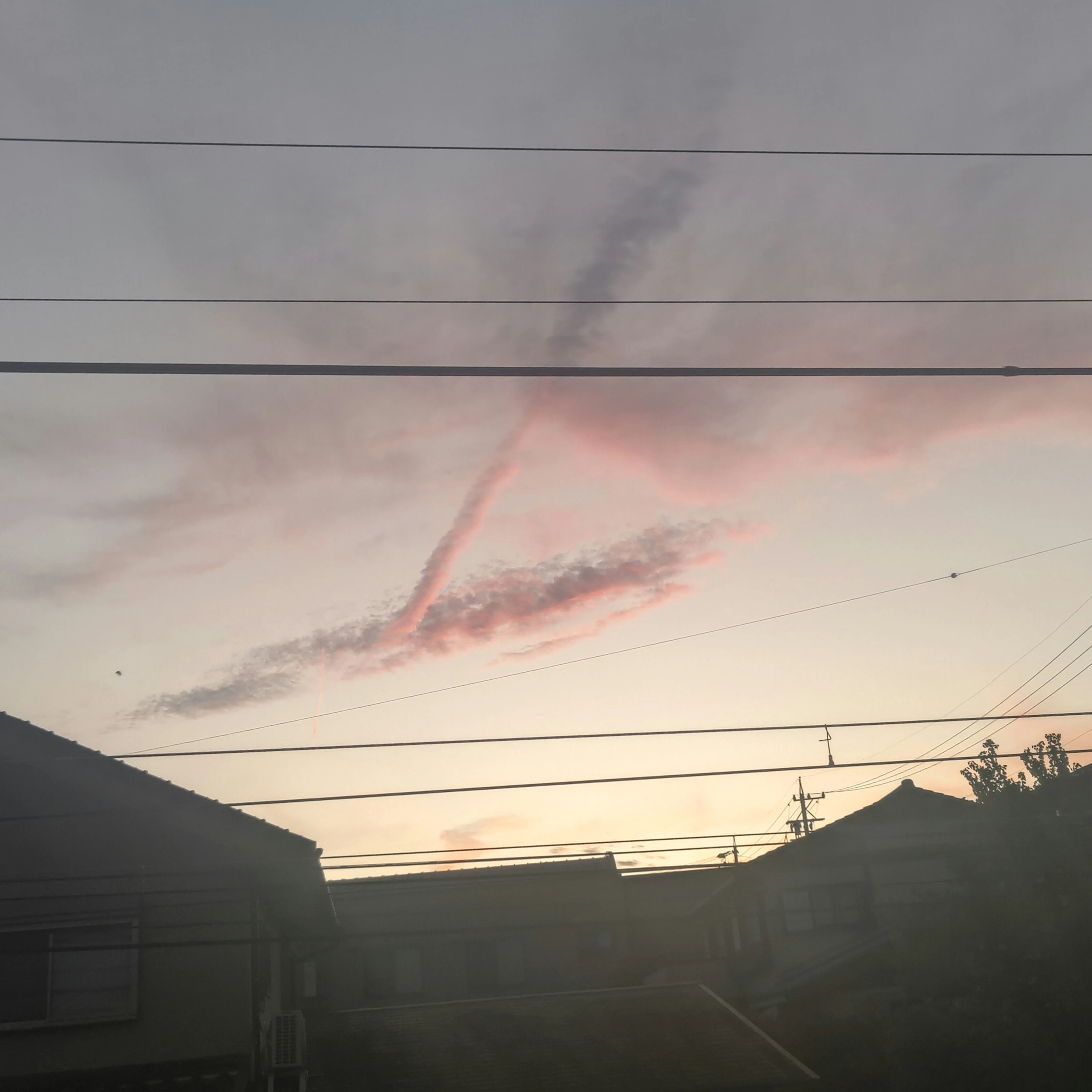 駿
