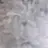 백지헌