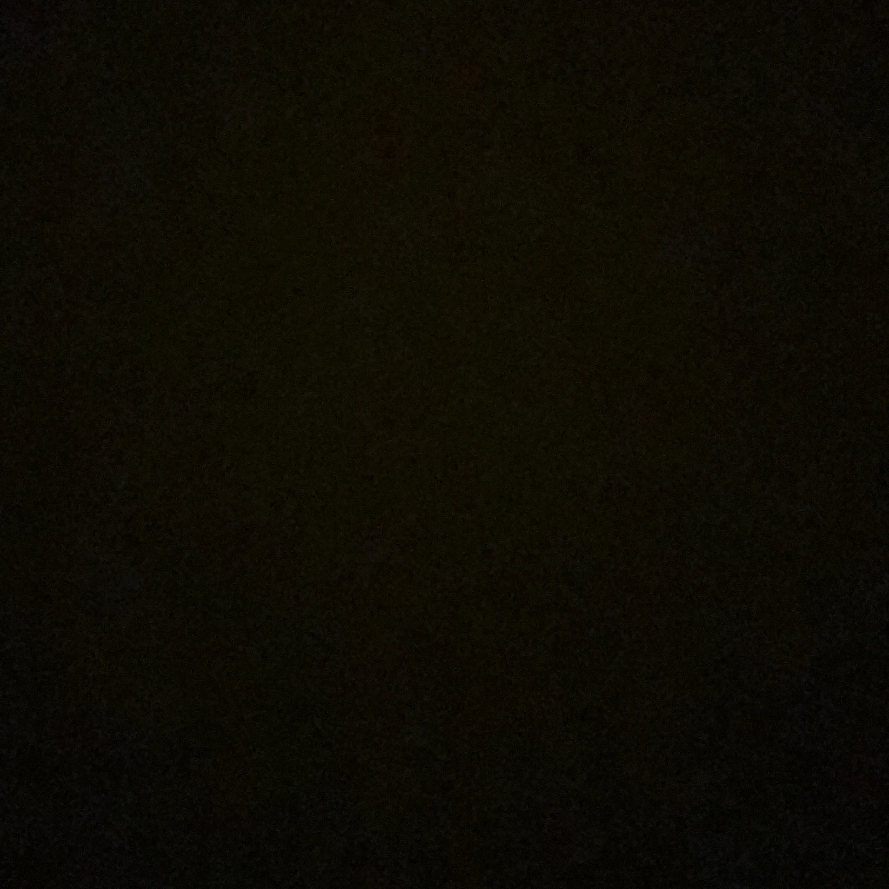 skdbs_의 최승철