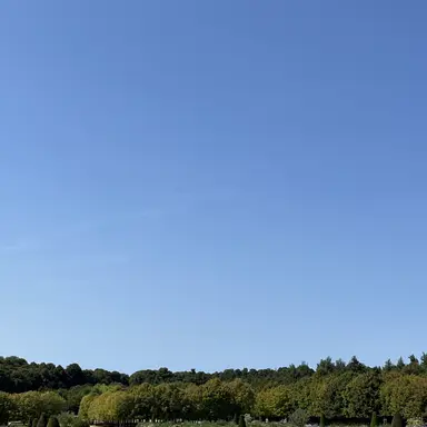 Profile image of 김종현