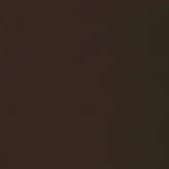 Profile image of 家入硝子