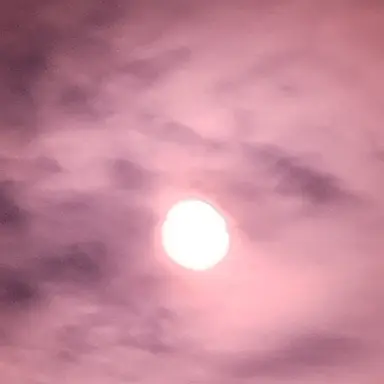 Profile image of 박덕개