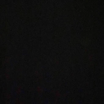 이진우
