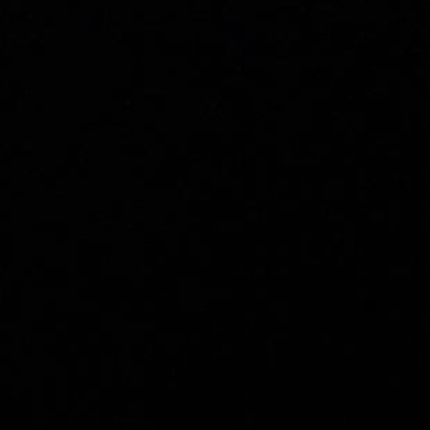 k.svt_17의 유학 권숝영