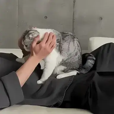 Profile image of Enzo