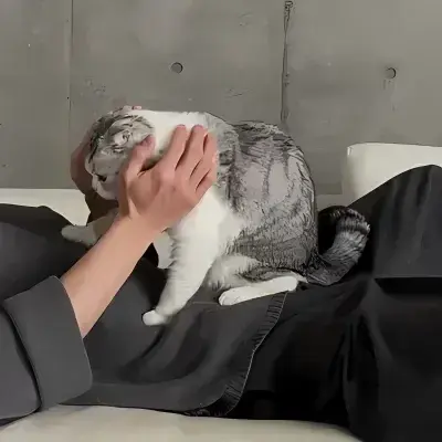 PaddedWagon8191의 Mafia BF