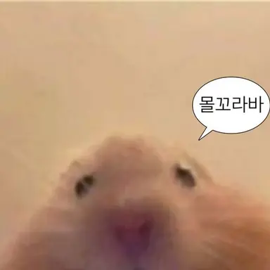 Profile image of 송승일