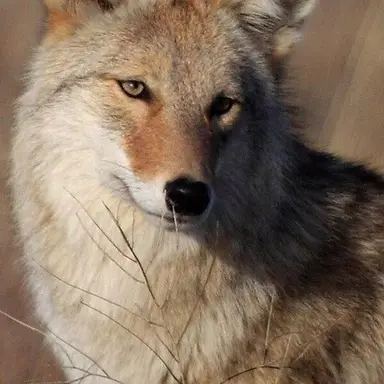 Profile image of Jay