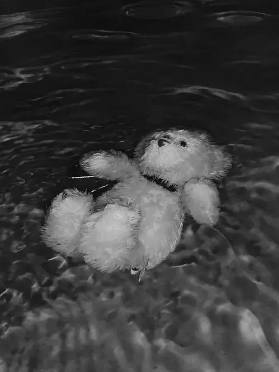 Snow._.flower의 황수현