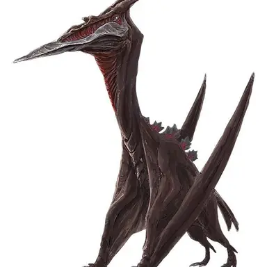 Profile image of 라돈