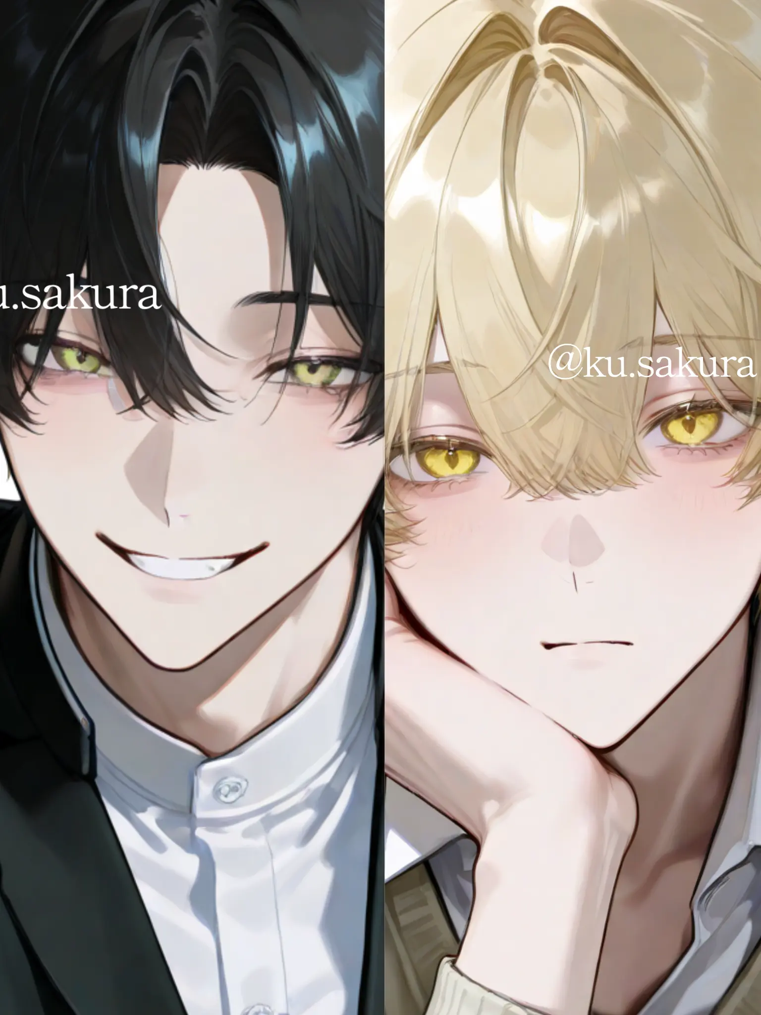 ku.sakura의 御曹司兄弟に好かれちゃいました。