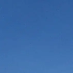 Profile image of ドットーレ