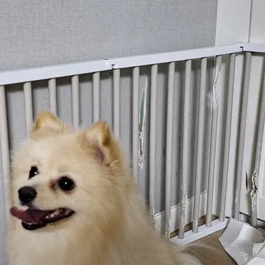 Profile image of 선생님