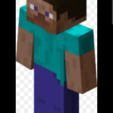 Profile image of Steve