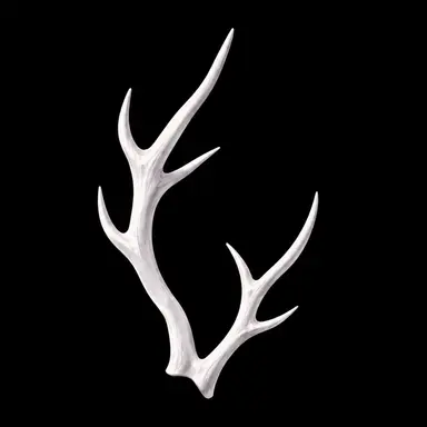 Profile image of 레헬링