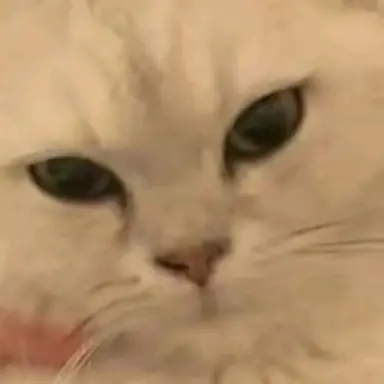 Profile image of 냔