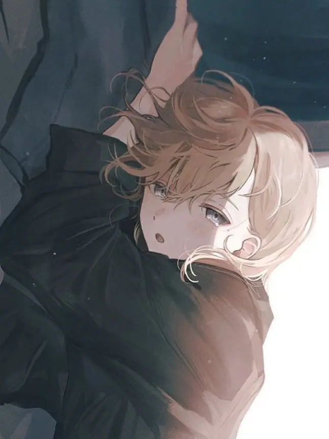 ABCDEFDHIGJKL의 盲愛。