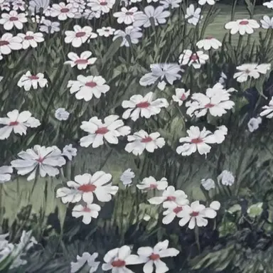 Profile image of 末澤誠也