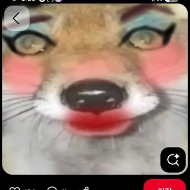 Profile image of 여우