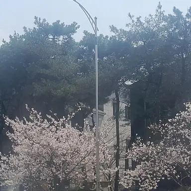 Profile image of 한 동 민