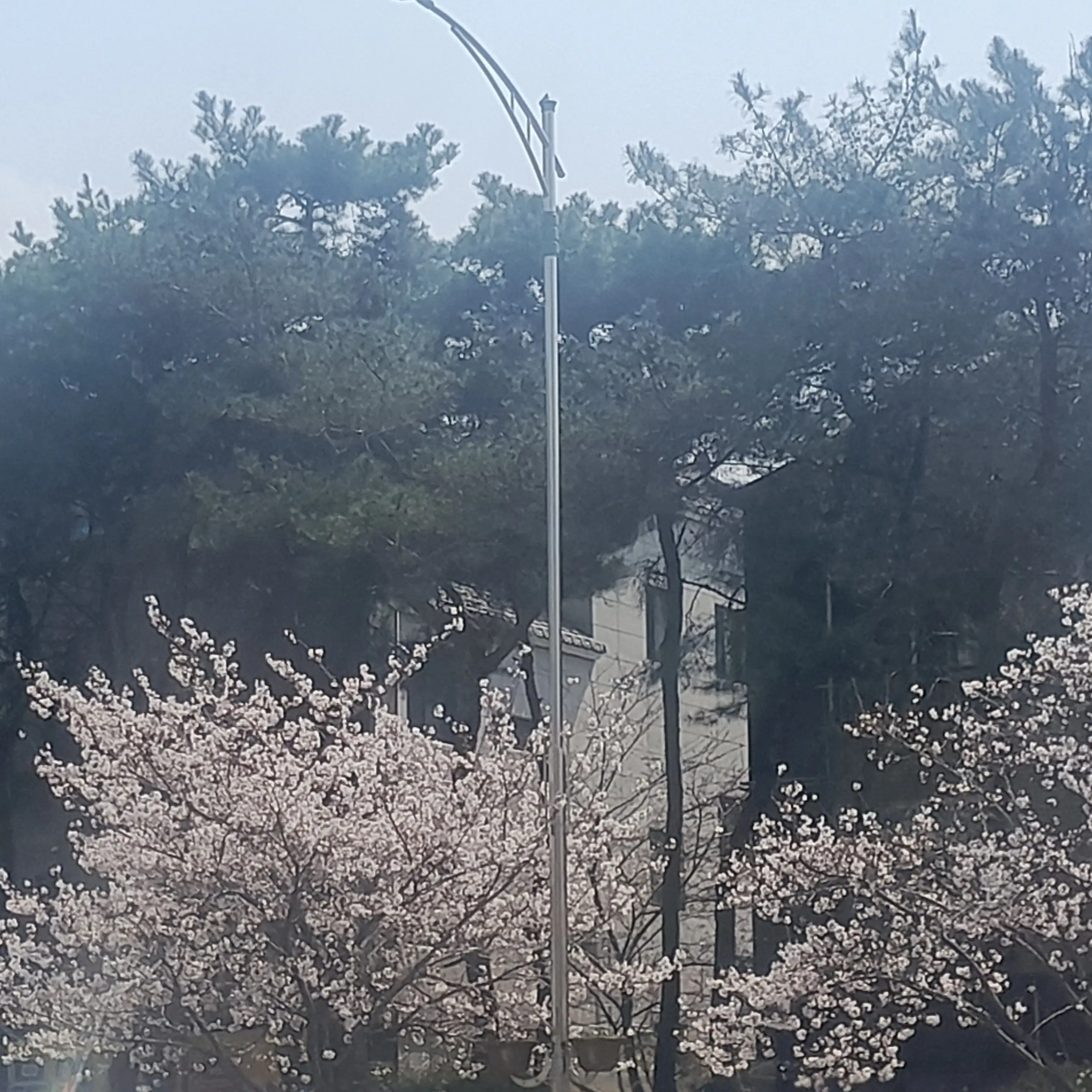 SickCork0595의 좋아하는데?