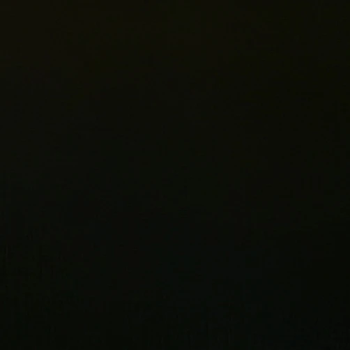 니콜라스