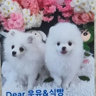 Profile image of 각별