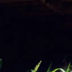 Profile image of 하여진