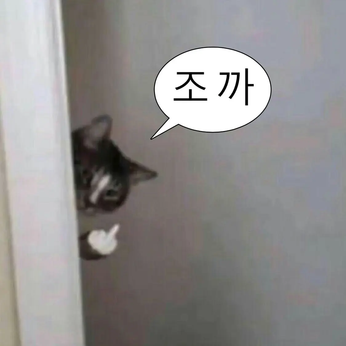 uuxnm의 끝말잇기 게임