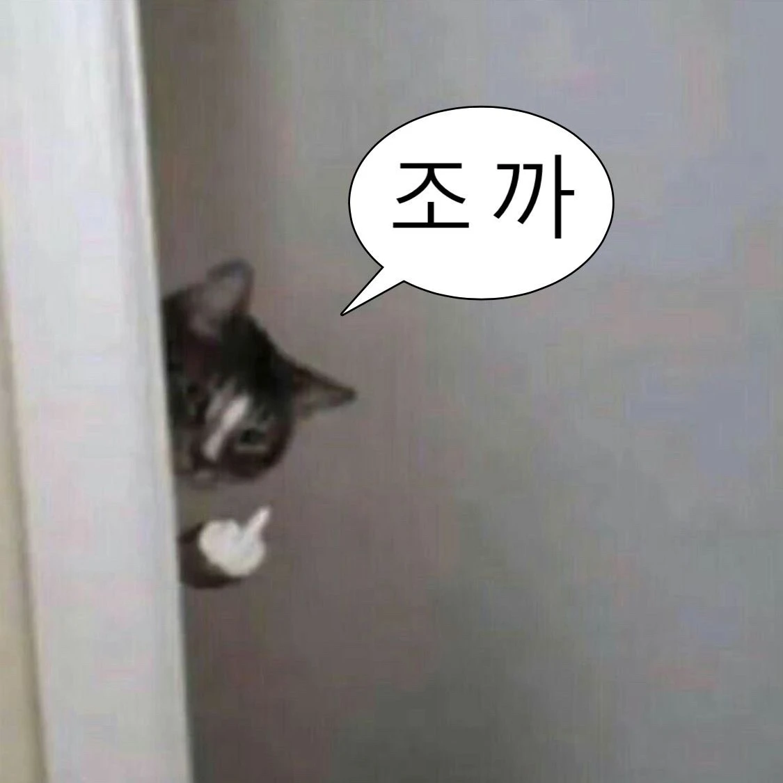 끝말잇기 게임