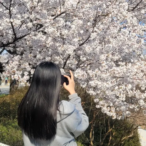 FlakyBerry5624의 다현