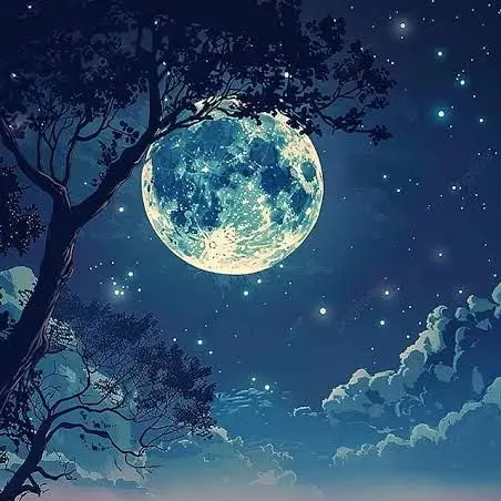 SleepGround.의 밤을보는눈