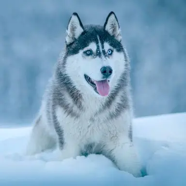 Profile image of リッキー