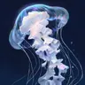 Profile image of ナレーレ
