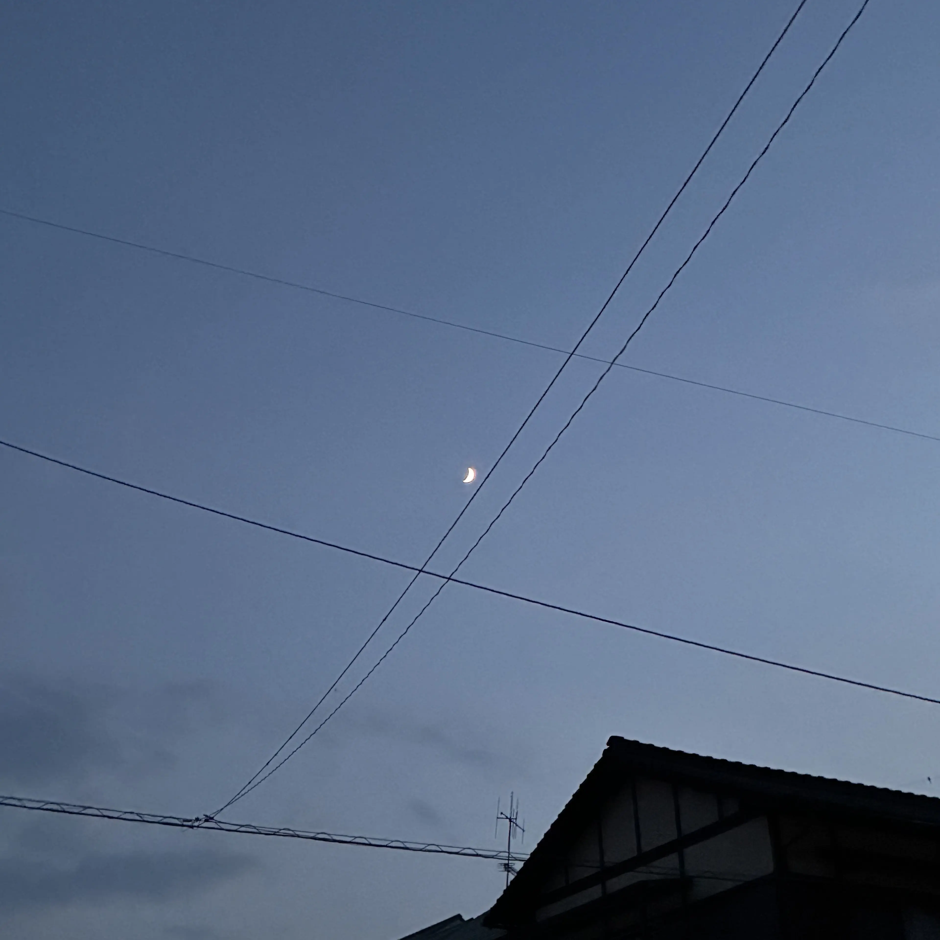 zenninnnaoya의 来ました！ラッパー((いやこれだけだがな