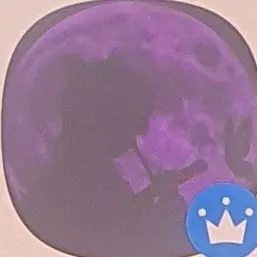 Profile image of 태양아래_나비