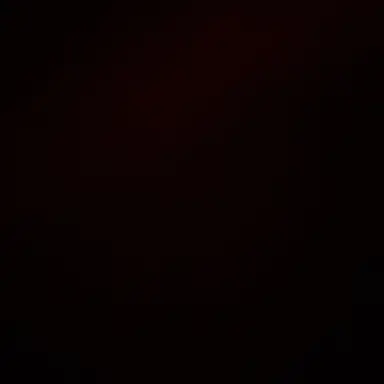 Profile image of ファン