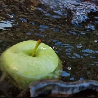 드레이코 말포이